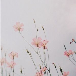 Meet your Posher, Jade